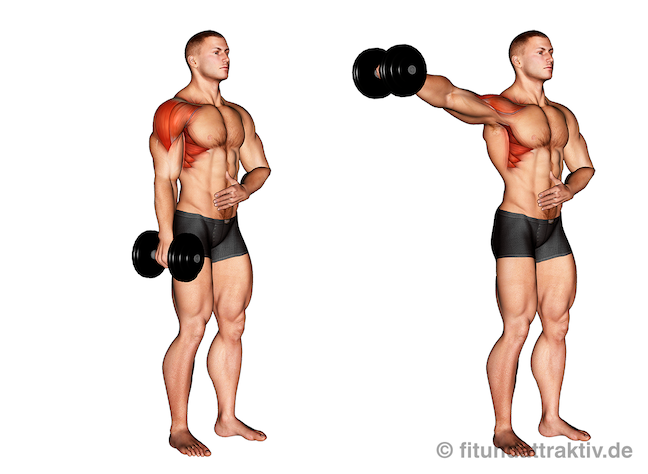 Mittlerer Schultermuskel trainieren: Bild von der Übung Kurzhantel Seitheben einarmig.