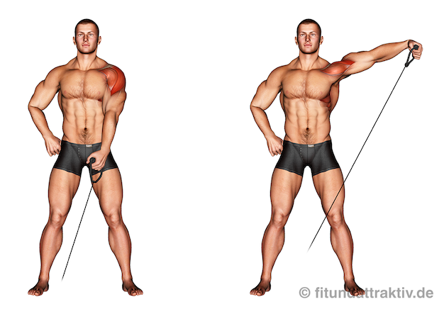 Mittlerer Schultermuskel trainieren: Bild von der Übung Seitheben am Kabelzug einarmig.