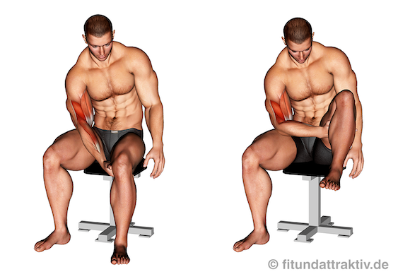 Oberkörper Training Übungen ohne Geräte: Bild von der Übung Bizeps Curls ohne Hilfsmittel.