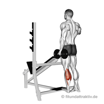 Unterschenkel trainieren Übungen: GIF von der Übung Wadenheben einbeinig mit Kurzhantel.