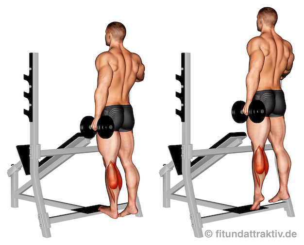 Unterschenkel trainieren Übungen: Bild von der Übung Wadenheben einbeinig mit Kurzhantel.