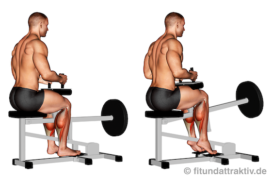 Unterschenkel trainieren Übungen: Bild von der Übung am Wadenheben Gerät sitzend.