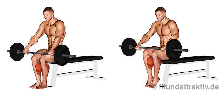 Waden trainieren zuhause mit Langhantel: Bild von der Übung Wadenheben sitzend mit Langhantel.