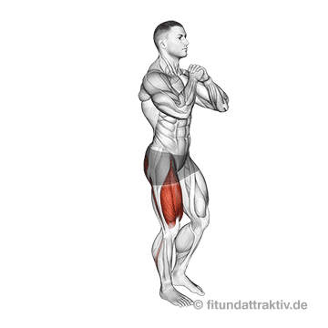 Workout für zuhause Männer ohne Geräte: GIF von der Übung Kniebeuge einbeinig.