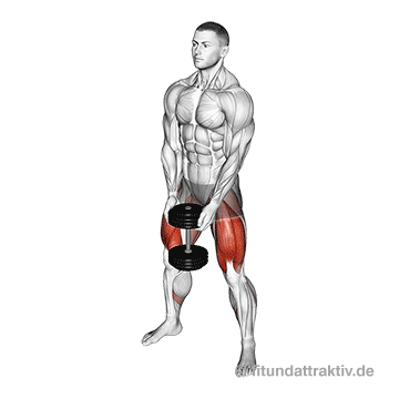 Hanteltraining für Anfänger Männer: GIF von der Übung Kniebeugen mit Hantel.