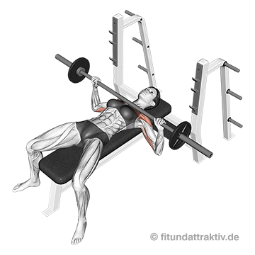 Langhantel Trainingsplan Frauen: GIF von der Übung flaches Bankdrücken mit Langhantel.