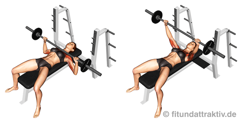 Langhantel Trainingsplan Frauen: Bild von der Übung flaches Bankdrücken mit Langhantel.