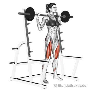 Langhantel Trainingsplan Frauen: GIF von der Übung klassische Kniebeuge mit Langhantel.