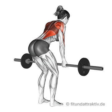 Langhantel Trainingsplan Frauen: GIF von der Übung Rudern vorgebeugt Untergriff mit Langhantel.