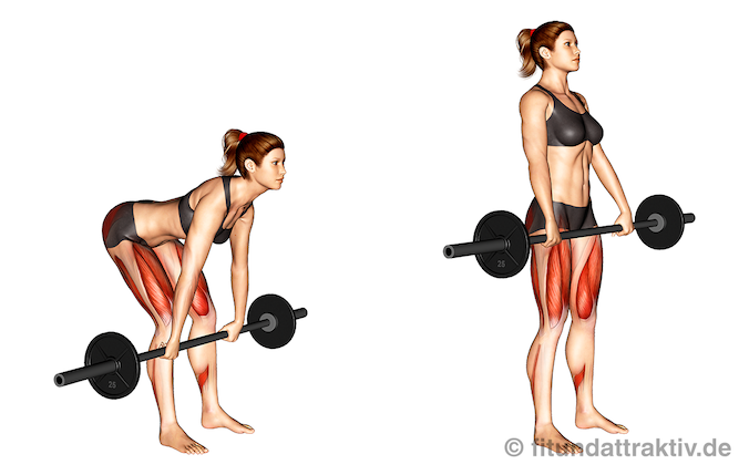 Langhantel Trainingsplan Frauen: Bild von der Übung rumänisches Kreuzheben mit Langhantel.