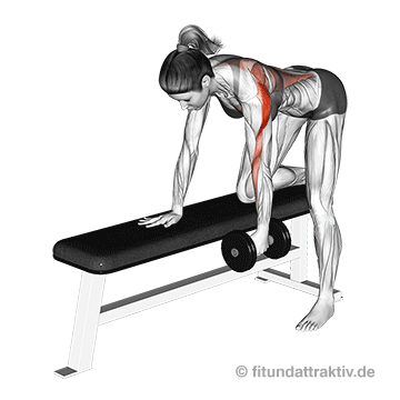 Ganzkörper Trainingsplan ab 40 Frauen: GIF von der Übung Rudern einarmig mit Kurzhantel.