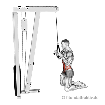 Oberer Bauch Übungen Anfänger: GIF von der Übung Crunches am Kabelzug.