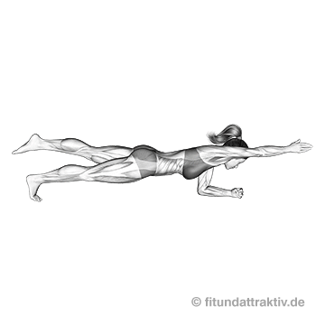 Plank mit Armheben und Beinheben gif