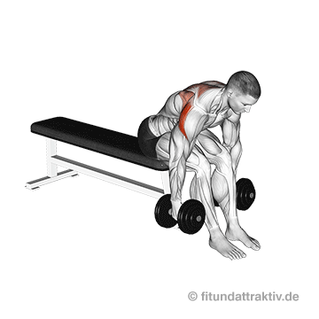 Schulter trainieren zuhause: GIF von der Übung Seitheben vorgebeugt sitzend mit Kurzhanteln.
