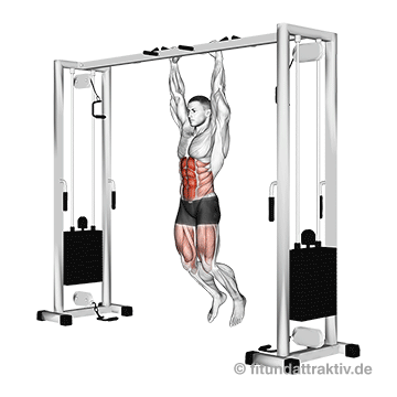Unterer Bauch Übungen Gym: GIF von der Übung hängendes Beinheben.