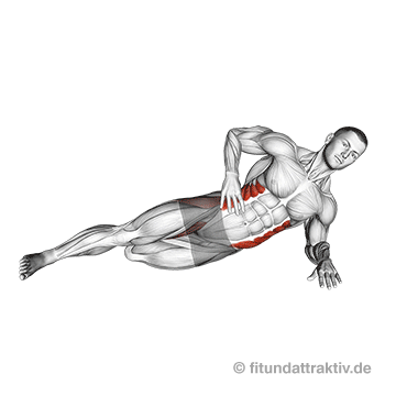 Bauchmuskeltraining Männer ohne Geräte: GIF von der Übung seitlicher Unterarmstütz kniend mit Bewegung.