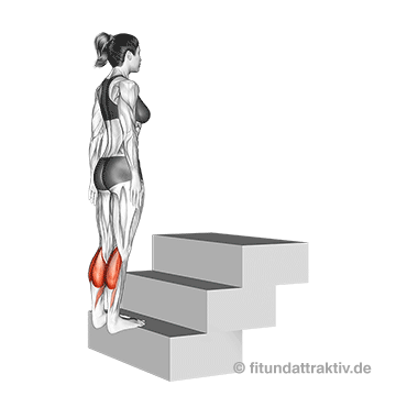 Beintraining Frauen ohne Geräte: GIF von der Übung Wadenheben stehend.