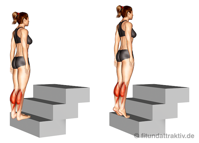 Beintraining Frauen ohne Geräte: Bild von der Übung Wadenheben stehend.
