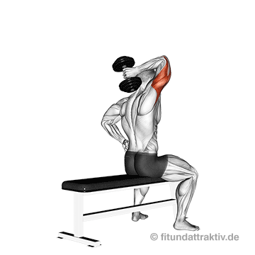 Oberkörper Training zuhause Anfänger: GIF von der Übung Trizepsdrücken sitzend mit Kurzhantel.