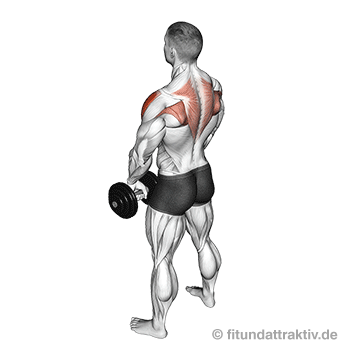 Rückentraining Kurzhantel zuhause: GIF von der Übung aufrechtes Rudern mit Kurzhanteln.