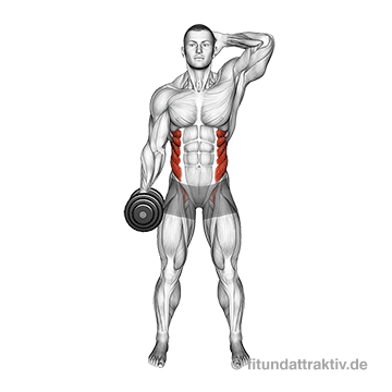 Schräge Bauchmuskeln Übungen Gym: GIF von der Übung Rumpfbeugen seitlich mit Kurzhantel.