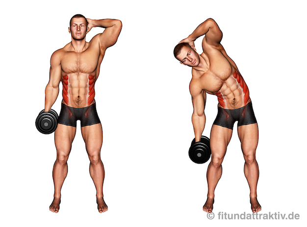 Schräge Bauchmuskeln Übungen Gym: Bild von der Übung Rumpfbeugen seitlich mit Kurzhantel.