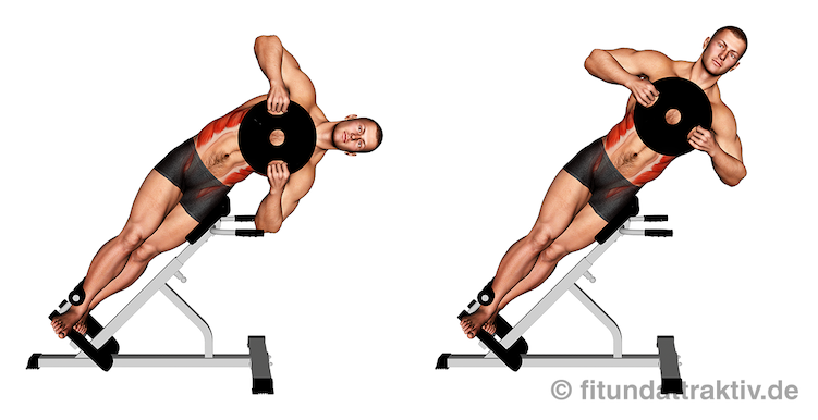 Schräge Bauchmuskeln Übungen Gym: Bild von der Übung seitliches Oberkörperbeugen mit Gewicht.