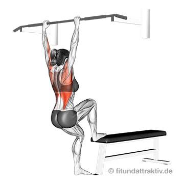 Trainingsplan Grundübungen Frauen: GIF von der Übung Klimmzüge mit Hantelbank.