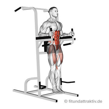 Übungen für den Bauch zum Abnehmen: GIF von der Übung Bauch Knieheben am Gerät.