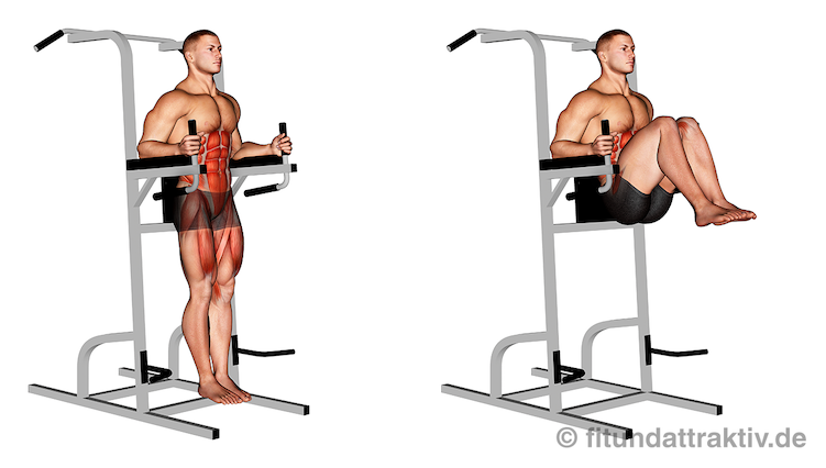 Übungen für den Bauch zum Abnehmen: Bild von der Übung Bauch Knieheben am Gerät.