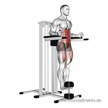 Übungen für den Bauch zum Abnehmen: GIF von der Übung Bauch Knieheben am Gerät mit Kurzhantel.