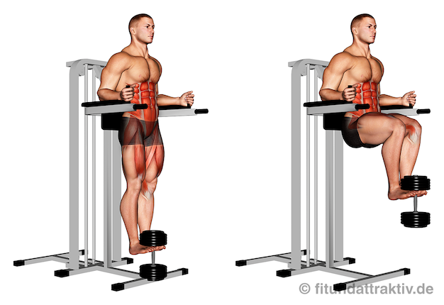 Übungen für den Bauch zum Abnehmen: Bild von der Übung Bauch Knieheben am Gerät mit Kurzhantel.