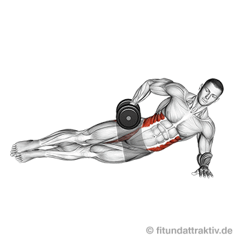 Übungen für den Bauch zum Abnehmen: GIF von der Übung seitlicher Unterarmstütz mit Kurzhantel.
