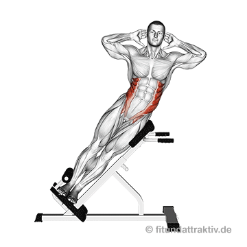 Übungen für den Bauch zum Abnehmen: GIF von der Übung seitliches Oberkörperbeugen am Gerät.
