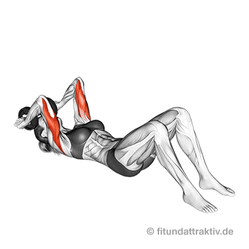 Übungen gegen Winkearme mit Hanteln: GIF von der Übung Stirndrücken beidarmig mit Hantel.