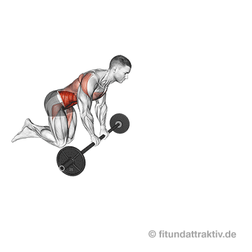 Übungen mit Langhantel zu Hause: GIF von der Übung Bauchrolle kniend mit Langhantel.