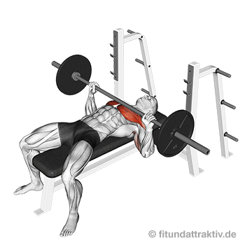 Übungen mit Langhantel zu Hause: GIF von der Übung Flachbankdrücken mit Langhantel.