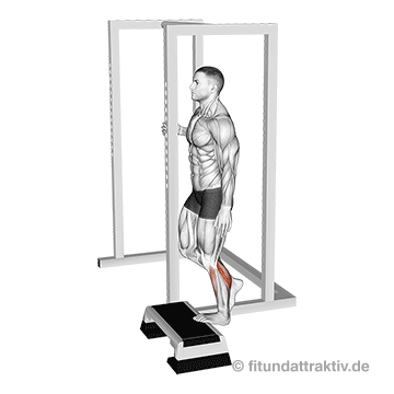 Waden Übungen ohne Geräte: GIF von der Übung Wadenheben einbeinig.