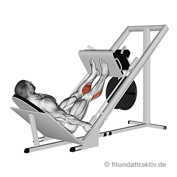 Wadenmuskel aufbauen Übung: GIF von der Übung Wadenheben an der Beinpresse.