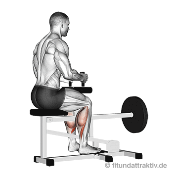 Wadenmuskulatur trainieren im Sitzen: GIF von der Übung sitzendes Wadenheben am Gerät.