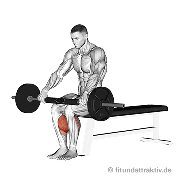 Wadenmuskulatur trainieren im Sitzen: GIF von der Übung sitzendes Wadenheben mit Langhantel.