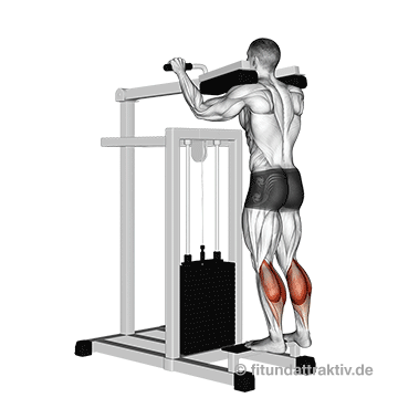 Wadenmuskulatur trainieren im Stehen: GIF von der Übung stehendes Wadenheben am Gerät.