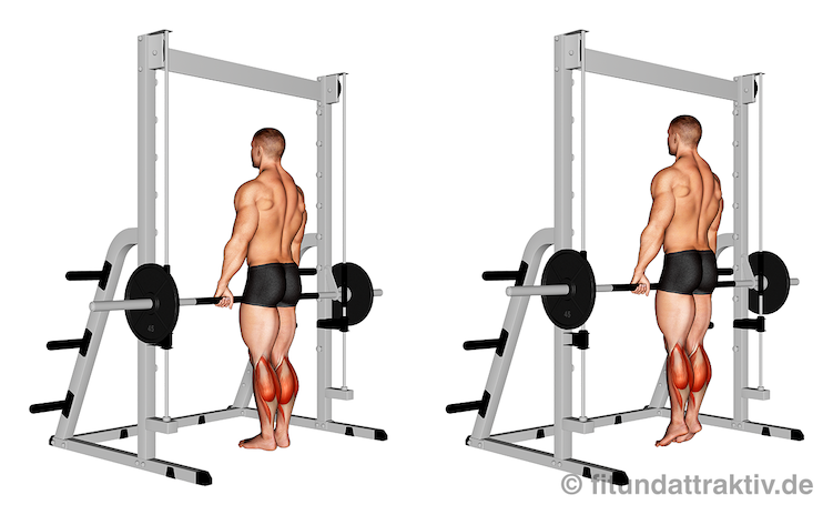 Wadenmuskulatur trainieren im Stehen: Bild von der Übung stehendes Wadenheben an der Multipresse.