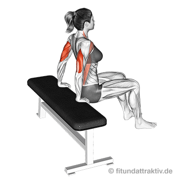 Winkearme in 2 Wochen weg: GIF von der Übung Dips für Anfänger.