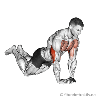Armmuskeltraining ohne Geräte: GIF von der Übung Diamant Liegestütze kniend.