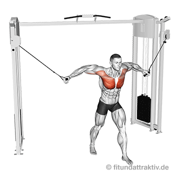 Brust Kabelzug Training: GIF von der Übung Fliegende Kabelzug von oben.