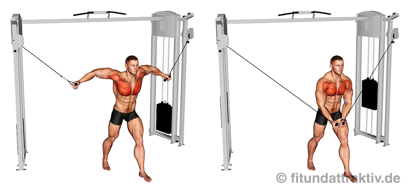 Brust Kabelzug Training: Bild von der Übung Fliegende Kabelzug von oben.