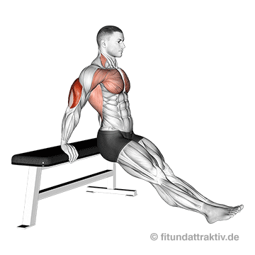 Dips Muskulatur: GIF von der Übung Arnold Dips für Anfänger.
