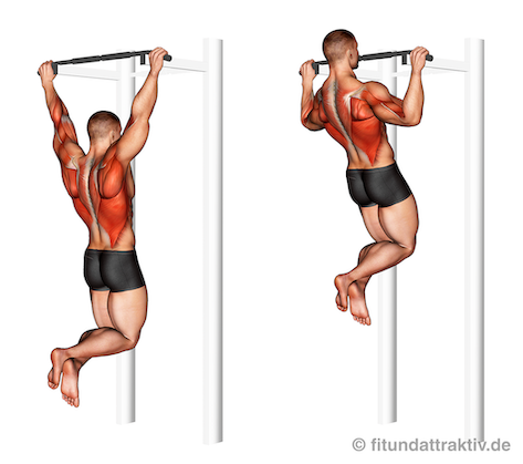 Ganzkörpertraining ohne Geräte PDF: Bild von der Übung breite Klimmzüge.