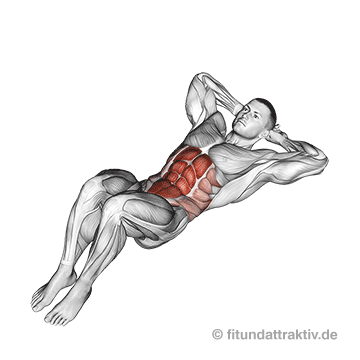 Ganzkörpertraining ohne Geräte PDF: GIF von der Übung Crunches.